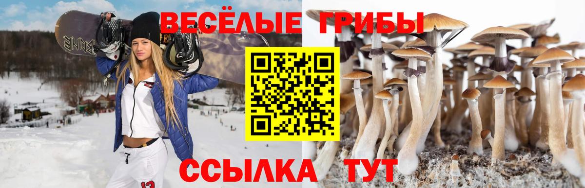 Галлюциногенные грибы MAGIC MUSHROOMS  Вход с VPN  Елец 